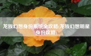 龙族幻想身份系统全攻略(龙族幻想明星身份攻略)