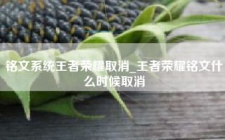 铭文系统王者荣耀取消_王者荣耀铭文什么时候取消