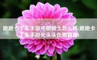 跑跑卡丁车手游光明骑士怎么样(跑跑卡丁车手游光头头在哪直播)