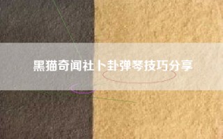 黑猫奇闻社卜卦弹琴技巧分享
