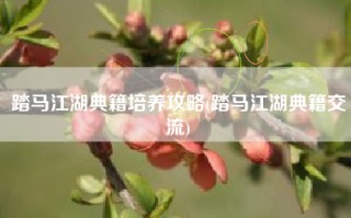 踏马江湖典籍培养攻略(踏马江湖典籍交流)