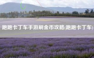 跑跑卡丁车手游刷金币攻略(跑跑卡丁车)