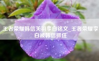 王者荣耀韩信关羽李白铭文_王者荣耀李白被韩信抓住