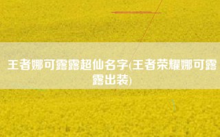 王者娜可露露超仙名字(王者荣耀娜可露露出装)