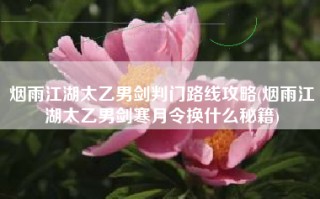 烟雨江湖太乙男剑判门路线攻略(烟雨江湖太乙男剑寒月令换什么秘籍)