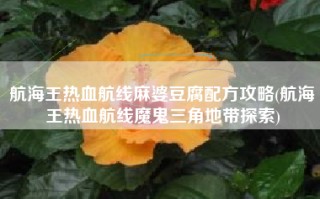 航海王热血航线麻婆豆腐配方攻略(航海王热血航线魔鬼三角地带探索)