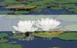 农场架枪位置推荐2022