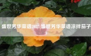 盛世芳华菜谱2022(盛世芳华菜谱凉拌茄子)