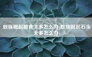 蚁族崛起粮食太多怎么办(蚁族崛起石头太多怎么办)