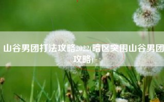 山谷男团打法攻略2022(暗区突围山谷男团攻略)