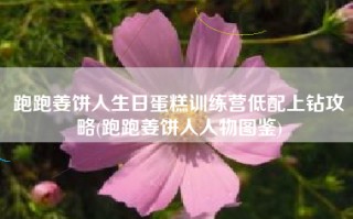跑跑姜饼人生日蛋糕训练营低配上钻攻略(跑跑姜饼人人物图鉴)