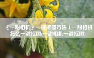 《一甜相机》一键抠图方法（一甜相机怎么一键抠图(一甜相机一键抠图)