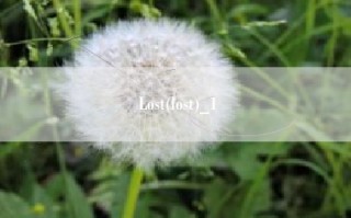 Lost(lost)_1