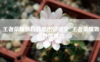 王者荣耀飘白韩信出装铭文_王者荣耀如何白嫖韩信