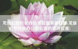 龙族幻想校长办公室后面草坪在哪(龙族幻想校长办公室后面的草坪位置)