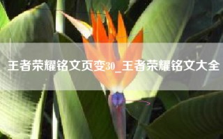 王者荣耀铭文页变30_王者荣耀铭文大全