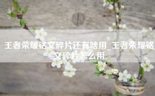 王者荣耀铭文碎片还有啥用_王者荣耀铭文碎片怎么用