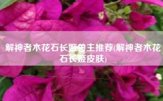 解神者木花石长姬兽主推荐(解神者木花石长姬皮肤)