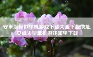 安卓版模拟单机游戏下载大全下载地址,安卓大型单机游戏哪里下载