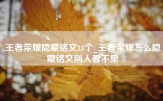 王者荣耀隐藏铭文13个_王者荣耀怎么隐藏铭文别人看不见
