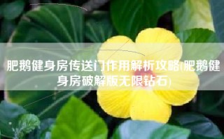 肥鹅健身房传送门作用解析攻略(肥鹅健身房破解版无限钻石)