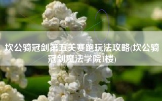坎公骑冠剑第五关赛跑玩法攻略(坎公骑冠剑魔法学院1楼)