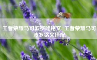王者荣耀马可波罗吃铭文_王者荣耀马可波罗铭文搭配