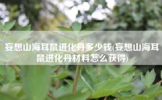 妄想山海耳鼠进化丹多少钱(妄想山海耳鼠进化丹材料怎么获得)