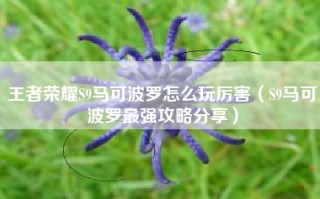 王者荣耀S9马可波罗怎么玩厉害（S9马可波罗最强攻略分享）