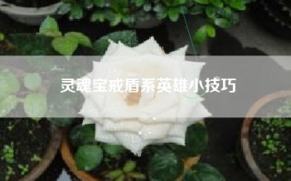 灵魂宝戒盾系英雄小技巧