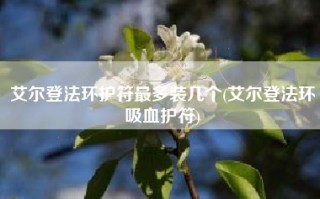 艾尔登法环护符最多装几个(艾尔登法环吸血护符)