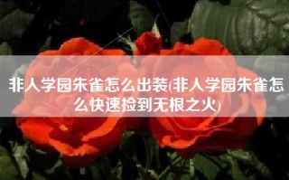 非人学园朱雀怎么出装(非人学园朱雀怎么快速捡到无根之火)