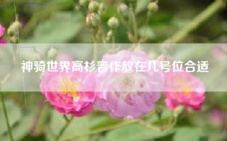神骑世界高杉晋作放在几号位合适