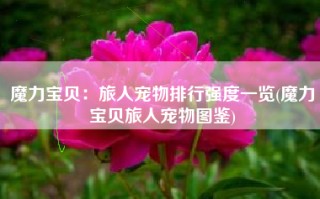 魔力宝贝：旅人宠物排行强度一览(魔力宝贝旅人宠物图鉴)
