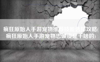 疯狂原始人手游宠物推荐技能选择攻略(疯狂原始人手游宠物忠诚度是干啥的)