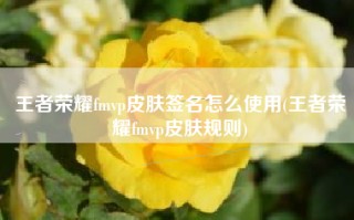 王者荣耀fmvp皮肤签名怎么使用(王者荣耀fmvp皮肤规则)