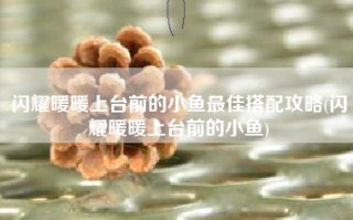 闪耀暖暖上台前的小鱼最佳搭配攻略(闪耀暖暖上台前的小鱼)