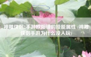 神雕侠侣2手游欧阳锋的技能属性 (神雕侠侣手游为什么没人玩)