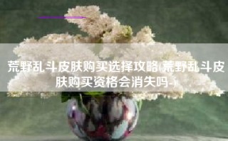 荒野乱斗皮肤购买选择攻略(荒野乱斗皮肤购买资格会消失吗-)