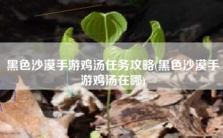 黑色沙漠手游鸡汤任务攻略(黑色沙漠手游鸡汤在哪)