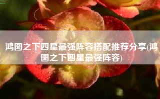 鸿图之下四星最强阵容搭配推荐分享(鸿图之下四星最强阵容)