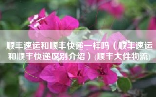 顺丰速运和顺丰快递一样吗（顺丰速运和顺丰快递区别介绍）(顺丰大件物流)