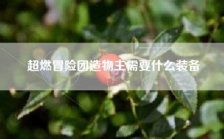 超燃冒险团造物主需要什么装备