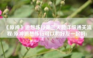 《原神》追想练行第三天超详细通关流程(原神追想练行可以和好友一起吗)