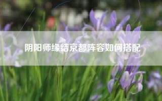 阴阳师缘结京都阵容如何搭配