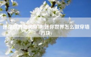 迷你世界如何穿墙(迷你世界怎么做穿墙方块)