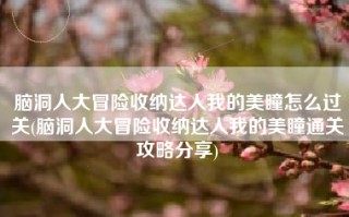 脑洞人大冒险收纳达人我的美瞳怎么过关(脑洞人大冒险收纳达人我的美瞳通关攻略分享)