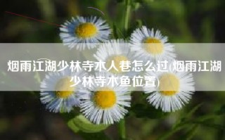 烟雨江湖少林寺木人巷怎么过(烟雨江湖少林寺木鱼位置)