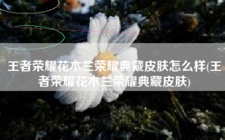 王者荣耀花木兰荣耀典藏皮肤怎么样(王者荣耀花木兰荣耀典藏皮肤)