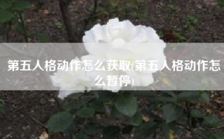 第五人格动作怎么获取(第五人格动作怎么暂停)